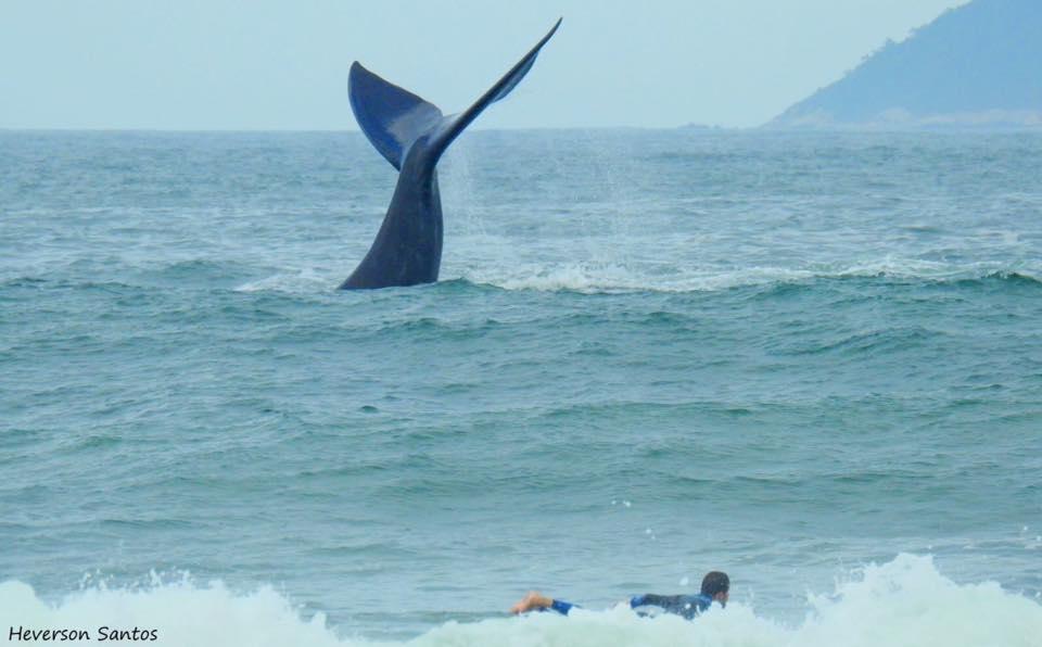 Tranquilidade Na Praia Da Gamboa Гаропаба Екстер'єр фото